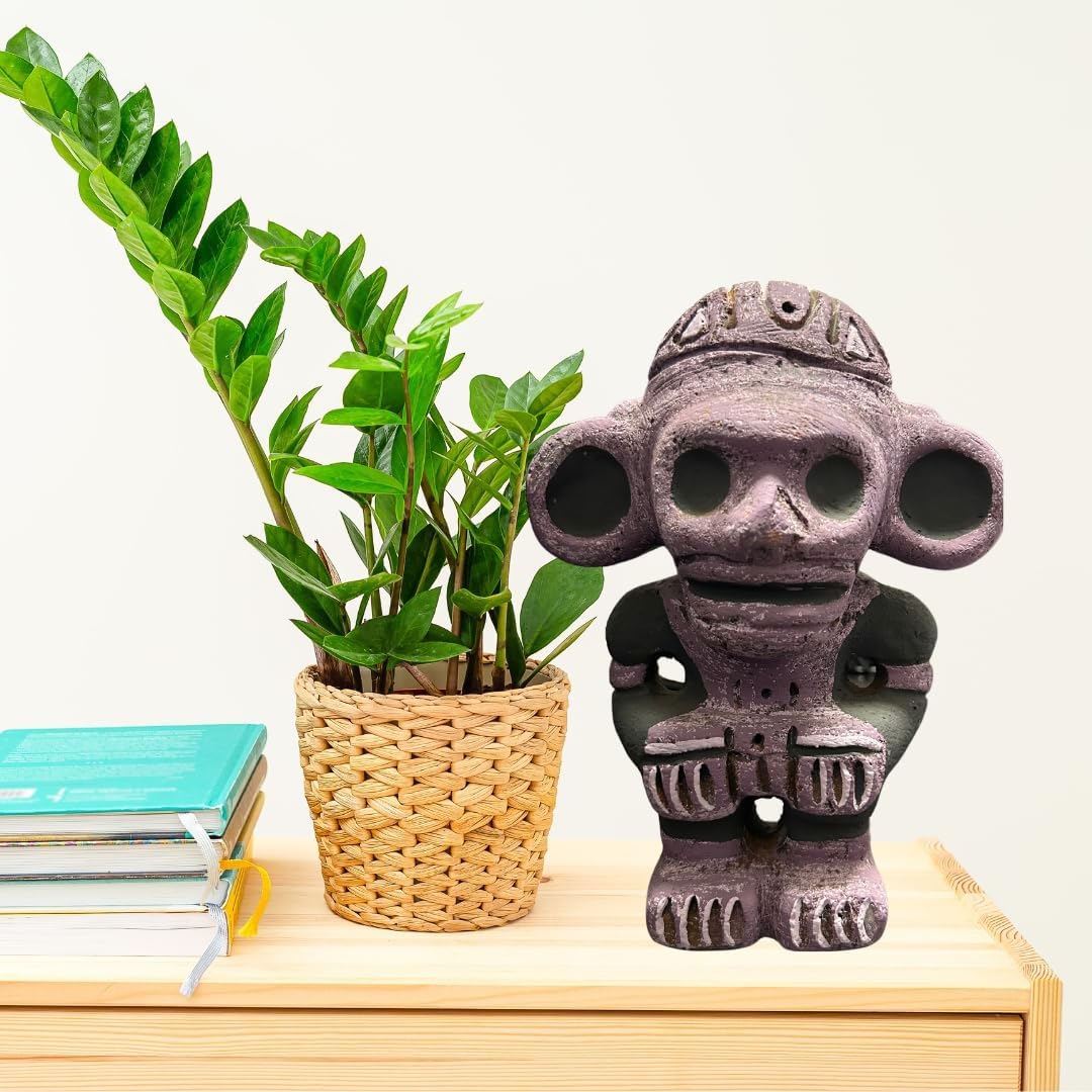 Taíno Behique Shaman | Amazon