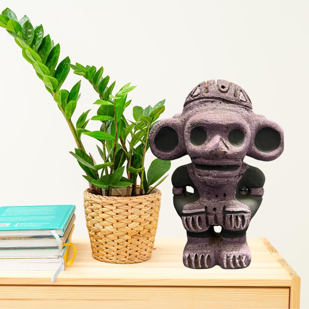 Taíno Behique Shaman | Amazon
